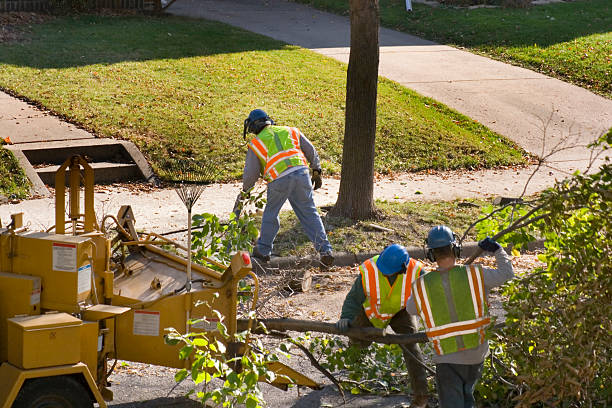 Best Lawn Watering Services  in Bowling Green, VA